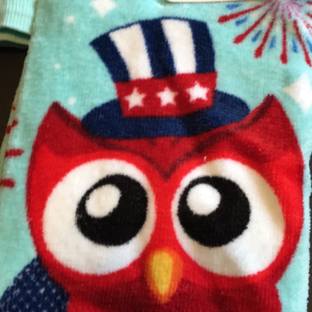 Set of four Patriotic Owl Kitchen Towels - Picture 3 of 10